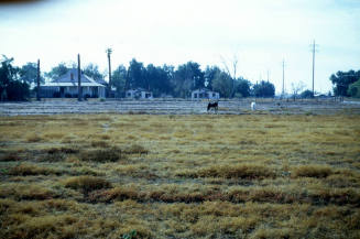 Hayden Ranch at University & McClintock