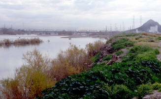 Salt River at Priest Rd.