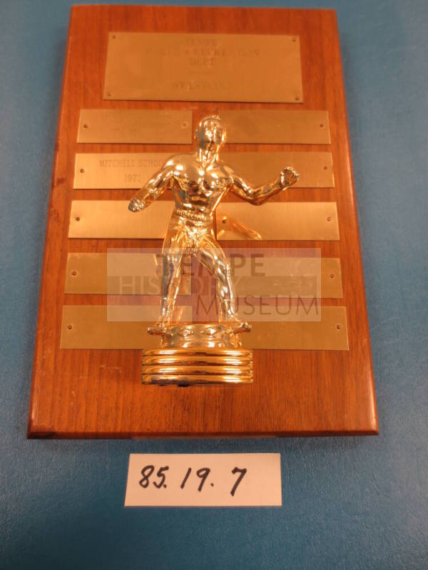 Plaque