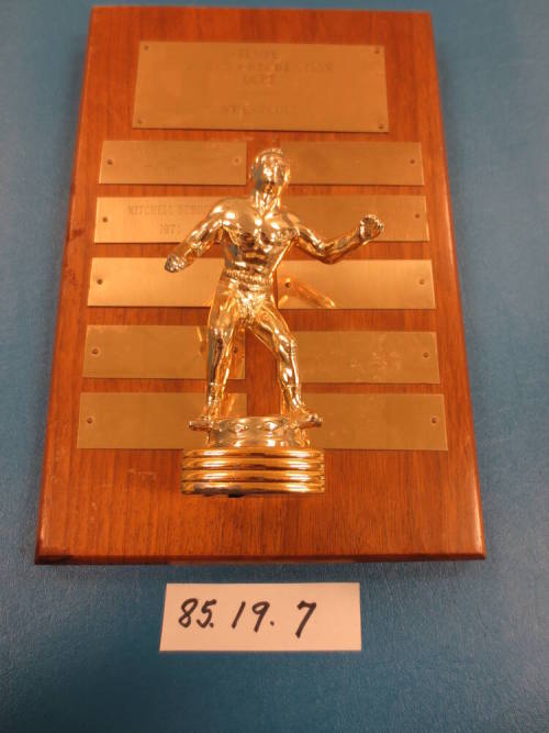 Plaque