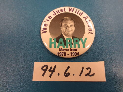 Pin, Lapel