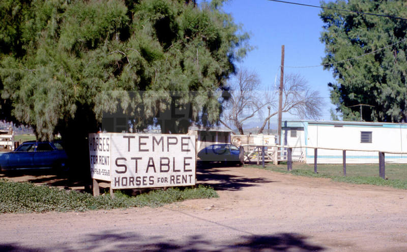 Tempe Stables