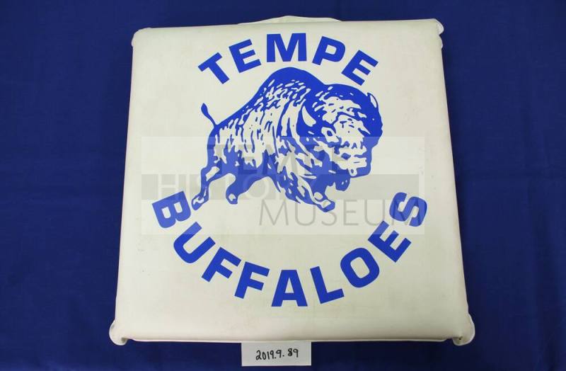 Tempe High School Buffaloes Stadium Cushion