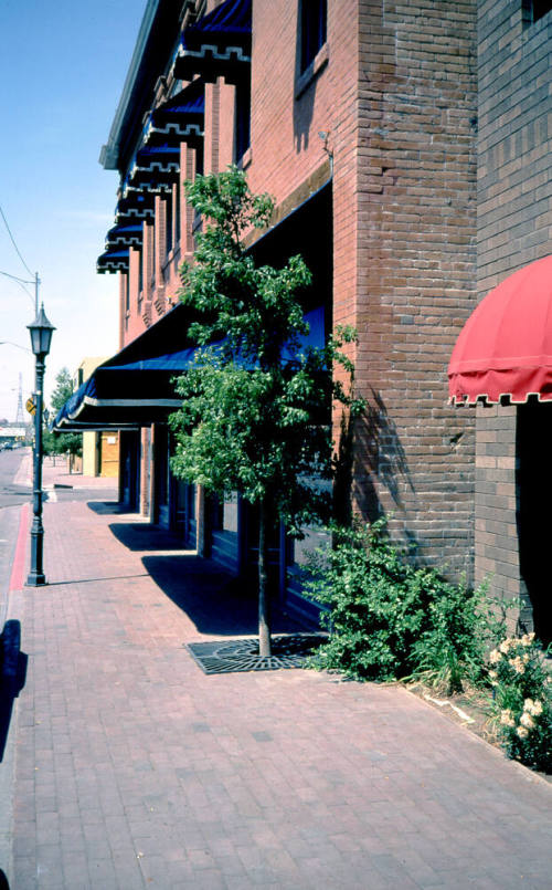 Paradise Bar and Grill, Andre Building, 400  Block of  S. Mill Ave.