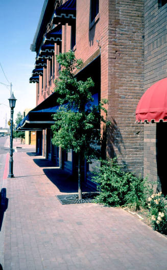Paradise Bar and Grill, Andre Building, 400  Block of  S. Mill Ave.