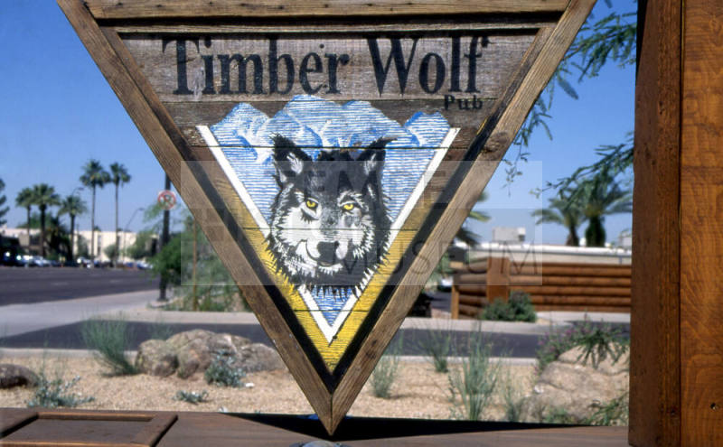 Timber Wolf Pub, 740 E. Apache Blvd.