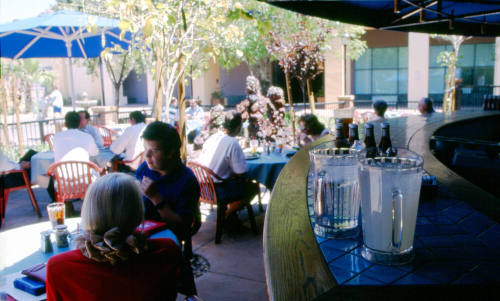 Paradise Bar & Grill, 401 S. Mill Ave.