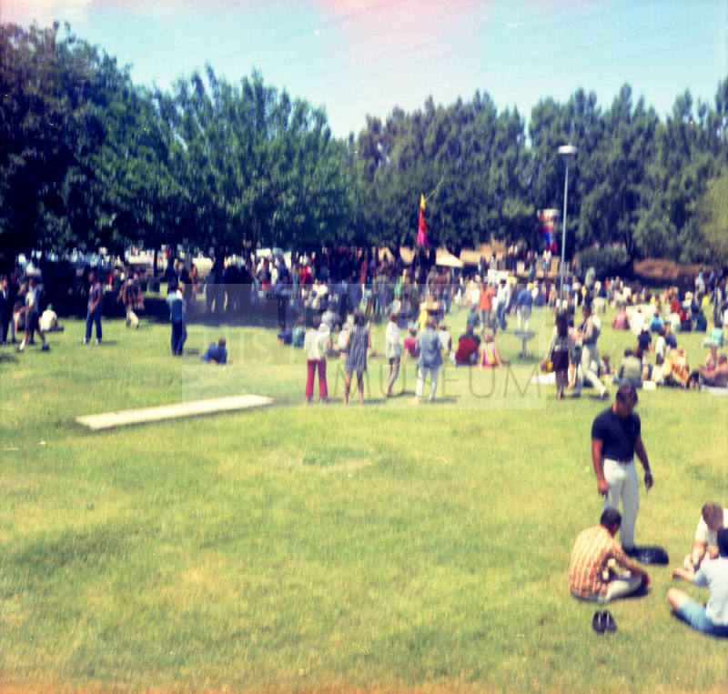 Love-in at Tempe Beach Park --Distant view of people standing amidst trees