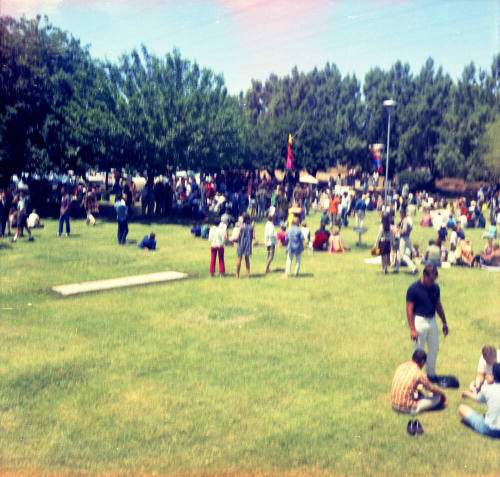 Love-in at Tempe Beach Park --Distant view of people standing amidst trees