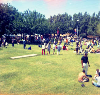 Love-in at Tempe Beach Park --Distant view of people standing amidst trees