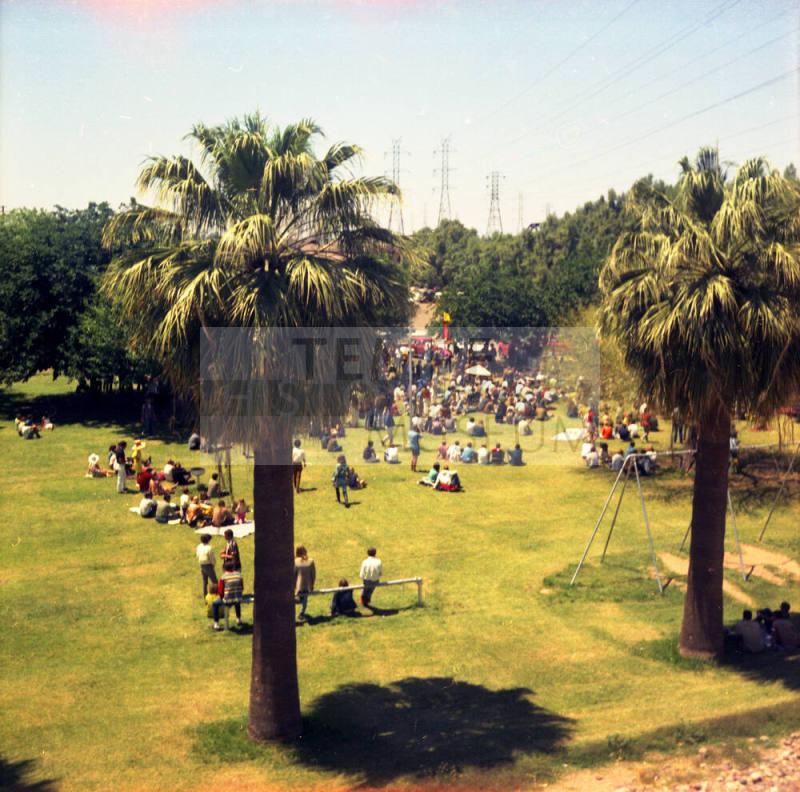 Love-in at Tempe Beach Park --Tree lined grassy area with crowd