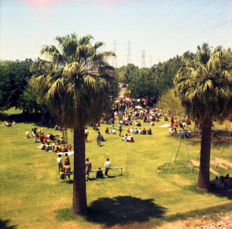 Love-in at Tempe Beach Park --Tree lined grassy area with crowd