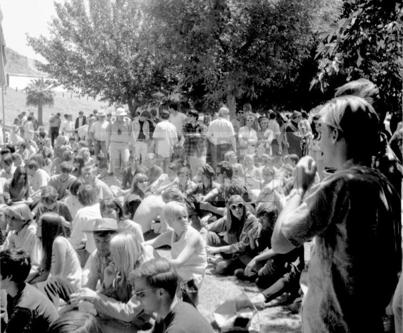 3 images, love-in at Tempe Beach Park