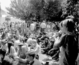3 images, love-in at Tempe Beach Park