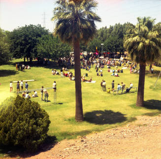 Love-In at Tempe Beach Park