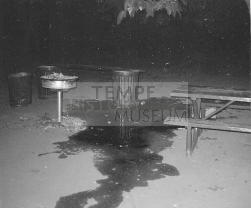 Picnic  Area Tempe Beach Park after Love-In