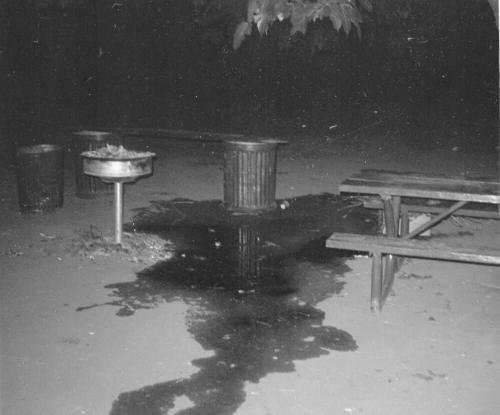 Picnic  Area Tempe Beach Park after Love-In