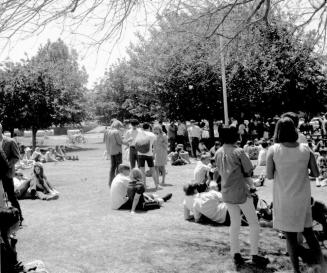 Love-In at Tempe Beach Park