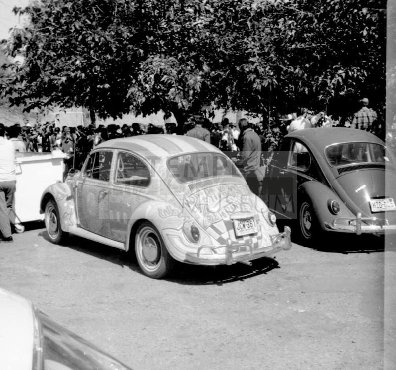 Love-In at Tempe Beach Park with Two volkswagen Beetles