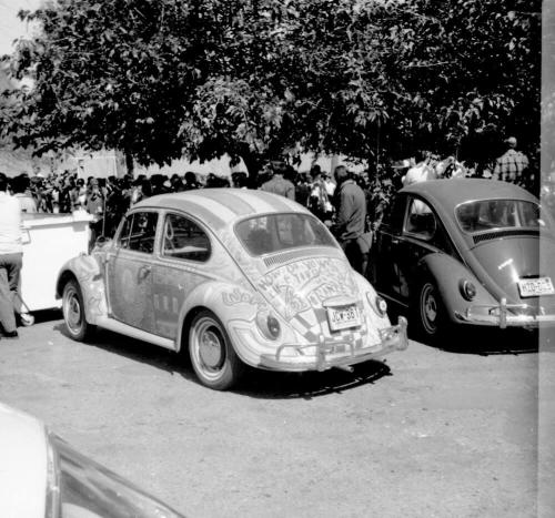 Love-In at Tempe Beach Park with Two volkswagen Beetles