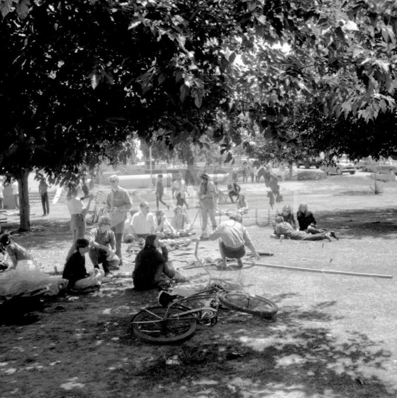 Love-in at Tempe Beach Park