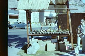 Hayden's Ferry Arts & Crafts Fair - 1979