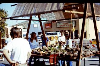 1976 Haydens Ferry Arts & Craft Fair - plant display