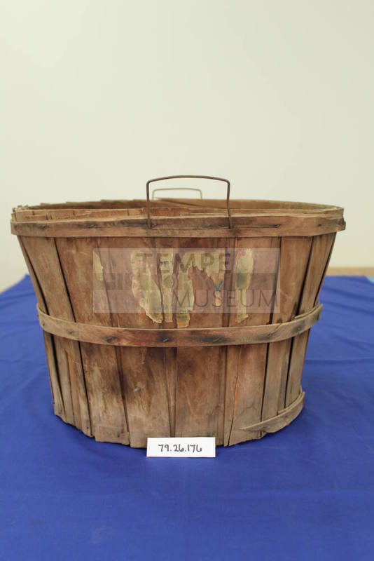 Fruit Basket