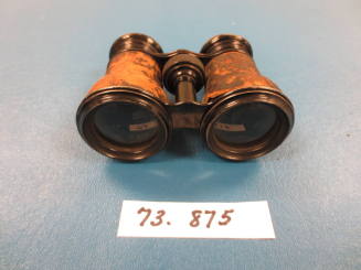 Binoculars or opera glasses