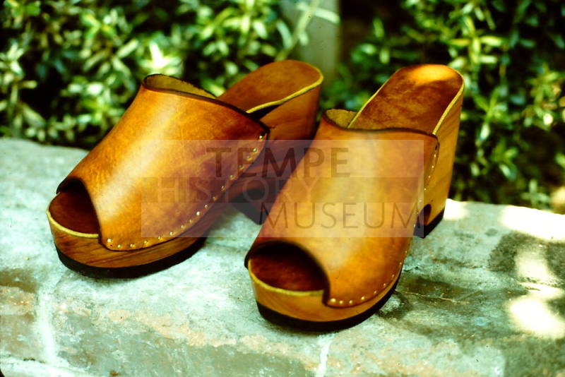 Euphoria Leather Wooden Clogs
