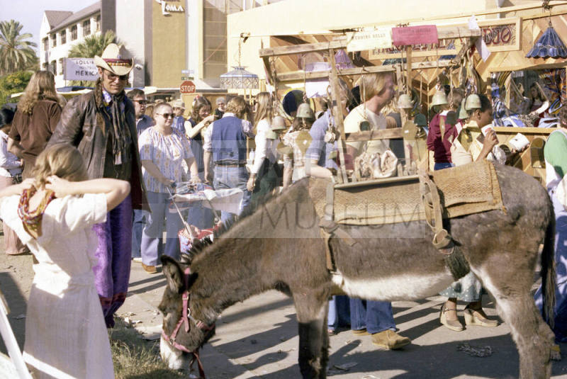 Donkey and Casa Loma at the Haydens Ferry Arts & Craft Fair