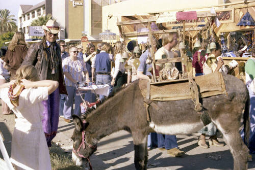 Donkey and Casa Loma at the Haydens Ferry Arts & Craft Fair
