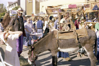 Donkey and Casa Loma at the Haydens Ferry Arts & Craft Fair