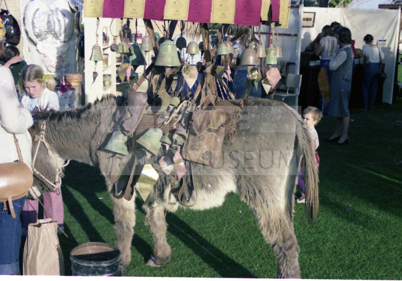 Wedding Bell Donkey at Craft Fair