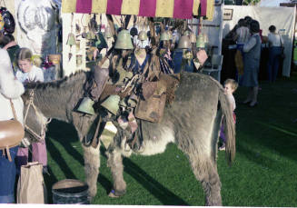 Wedding Bell Donkey at Craft Fair