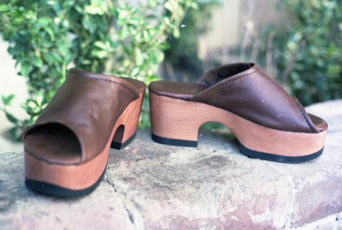 Euphoria Leather Wooden Clogs