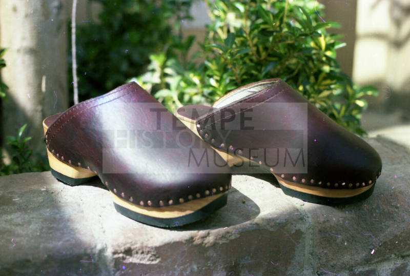 Euphoria Leather Purple Clogs