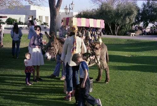 Donkey with Bells at Craft Fair
