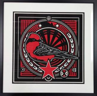 Vermillion Flycatcher