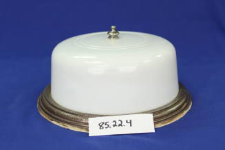 Ceiling Light Fixture