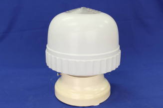 Ceiling Light Fixture