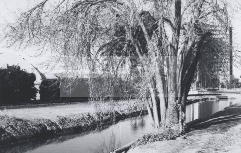 Kirkland-McKinney Ditch 8th St. and Rural