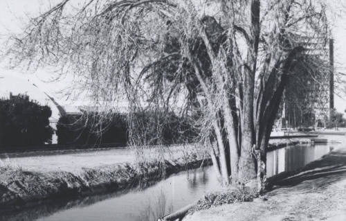 Kirkland-McKinney Ditch 8th St. and Rural