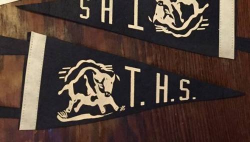Tempe High School - Small Pennant