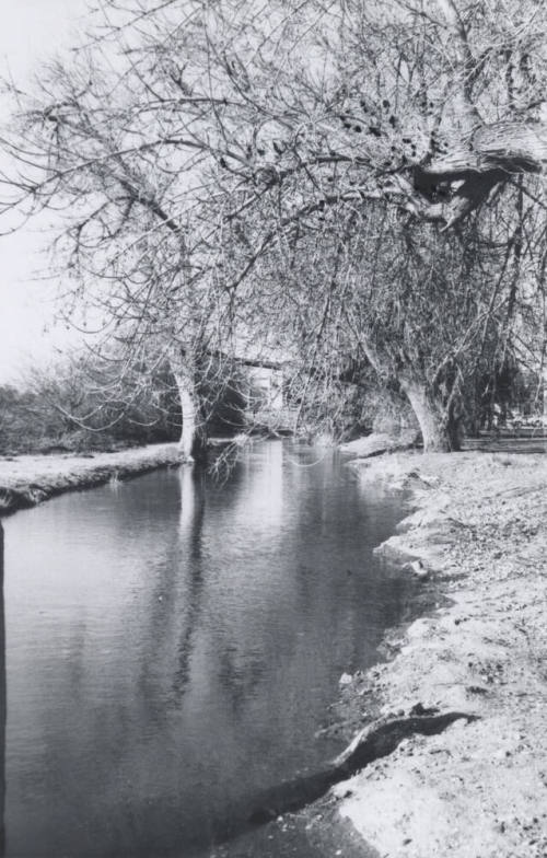 Kirkland-McKinney Ditch-8th St. and Rural