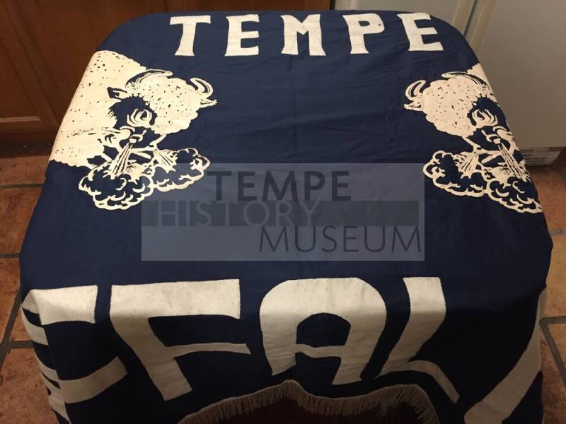 Tempe High School - Buffaloes Banner