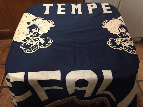 Tempe High School - Buffaloes Banner