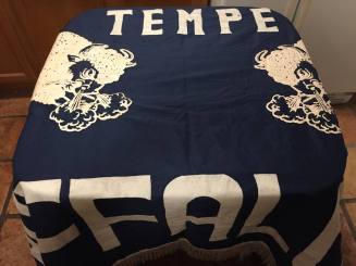 Tempe High School - Buffaloes Banner