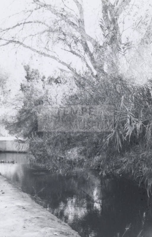 Kirkland-McKinney Ditch-8th St. and Rural