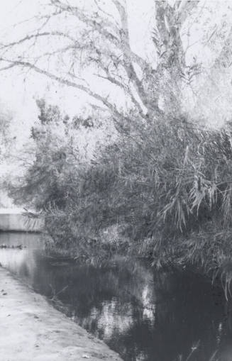 Kirkland-McKinney Ditch-8th St. and Rural